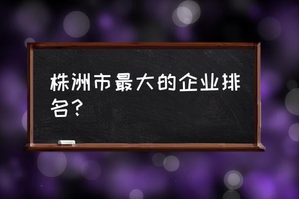 株洲冶炼厂是我国最大的 株洲市最大的企业排名？