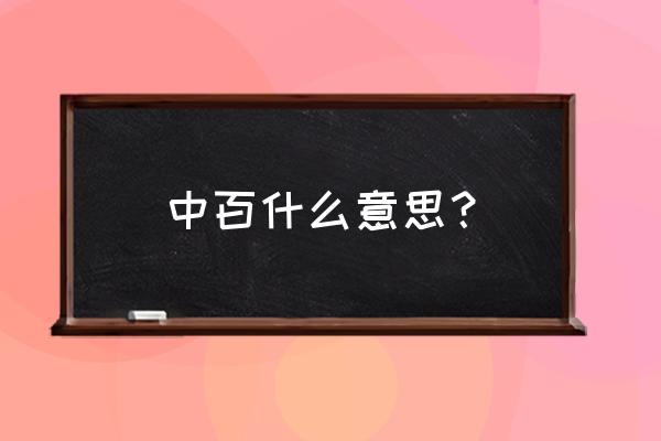 宁波中百简介 中百什么意思？