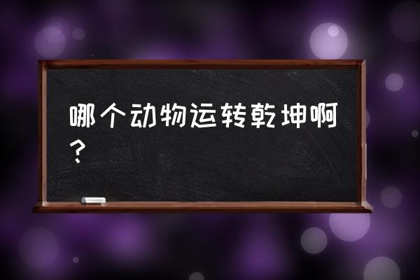 欲钱去买运转乾坤的动物 哪个动物运转乾坤啊？