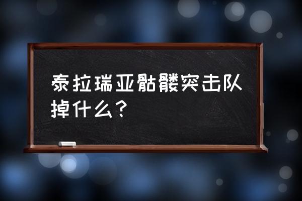 安拉胡啊克巴 泰拉瑞亚骷髅突击队掉什么？