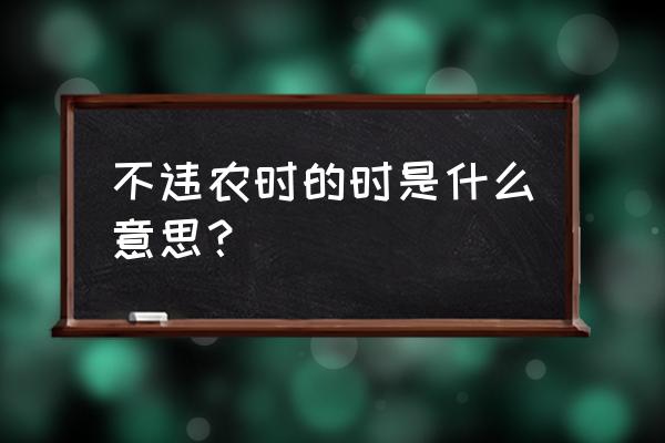 不违农时的农时 不违农时的时是什么意思？