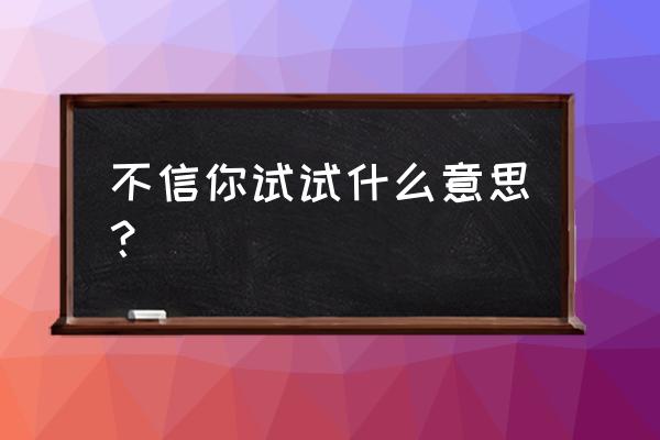 不信你试试试试就试试 不信你试试什么意思？