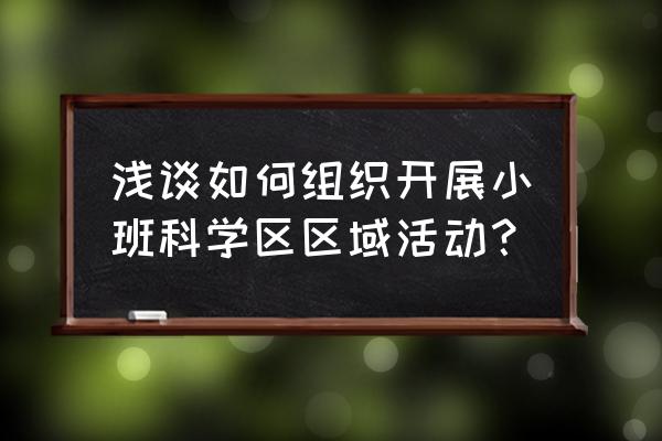 区域观察记录科学区 浅谈如何组织开展小班科学区区域活动？