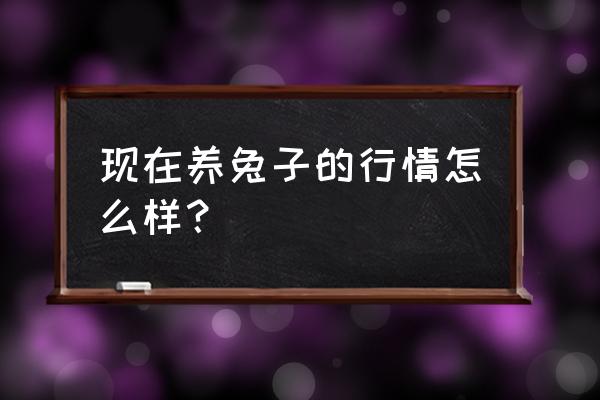 兔子养殖有没有市场 现在养兔子的行情怎么样？