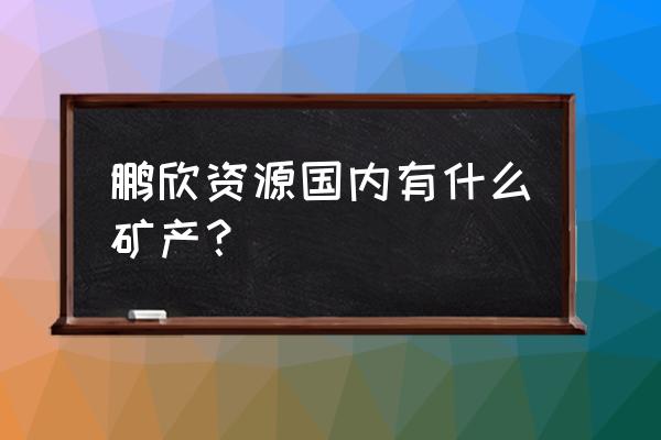 鹏欣资源东方财富 鹏欣资源国内有什么矿产？