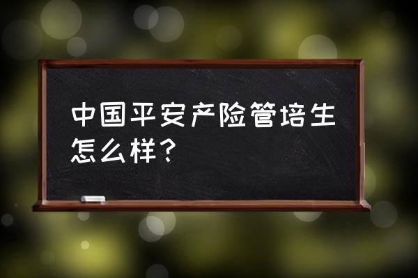 平安产险管培生 中国平安产险管培生怎么样？