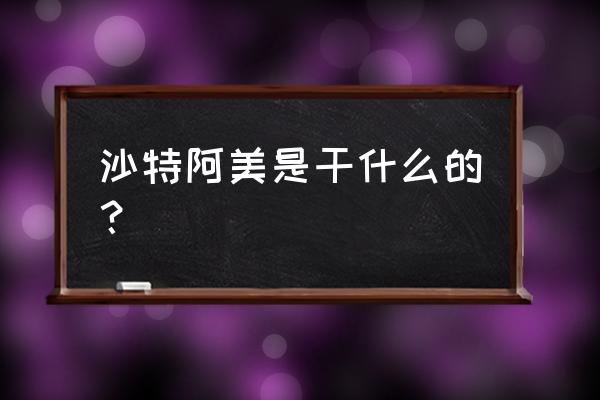 沙特阿美是干什么的 沙特阿美是干什么的？