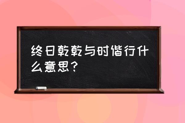 终日乾乾 与时偕行的意思 终日乾乾与时偕行什么意思？