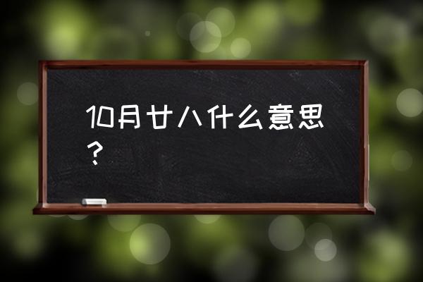 十月二十八 10月廿八什么意思？