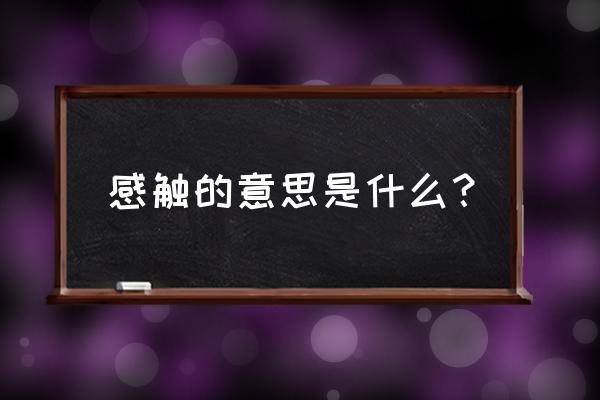 感触是什么意思啊 感触的意思是什么？