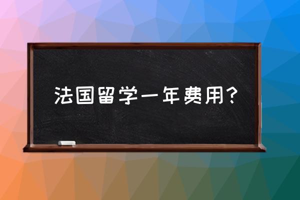 法国本科留学费用 法国留学一年费用？