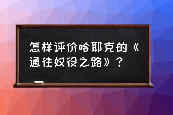 伊万 莱萨切克 怎样评价哈耶克的《通往奴役之路》？